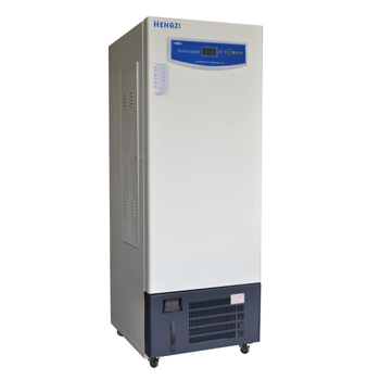 上海躍進(jìn)YWX-250/YWX-300/YWX-500藥品穩定試驗箱